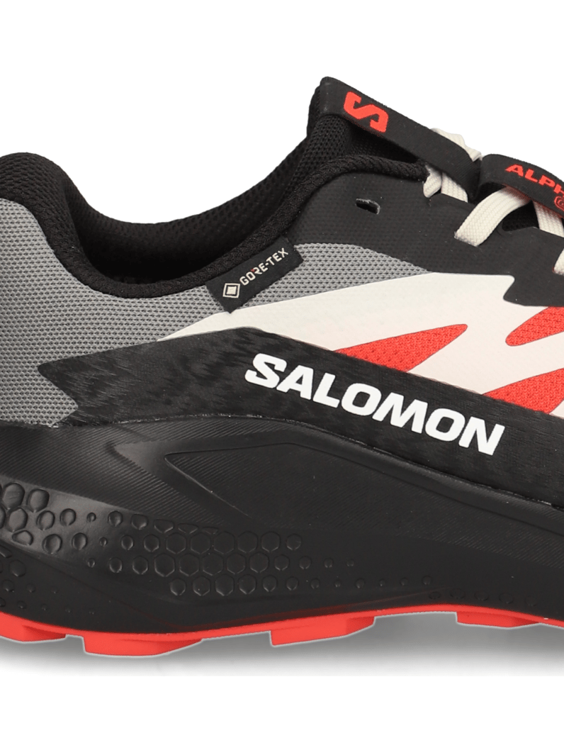 Salomon-ALPHAGLIDE-GTX-schwarz