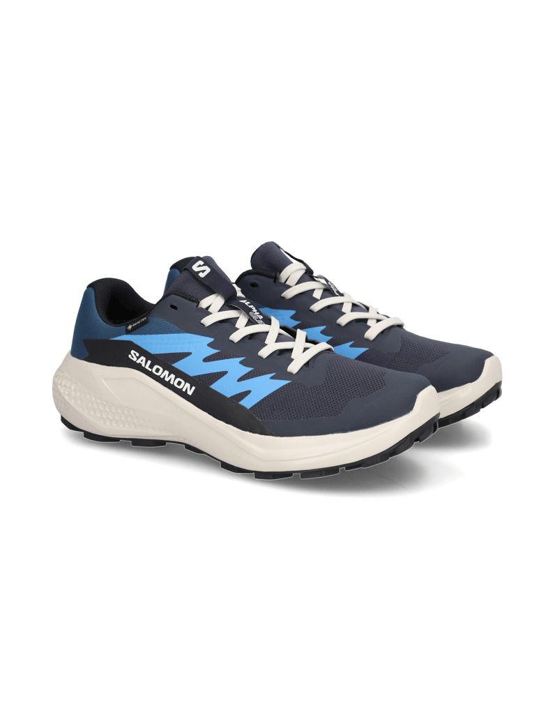 Salomon-ALPHAGLIDE-GTX-schwarz