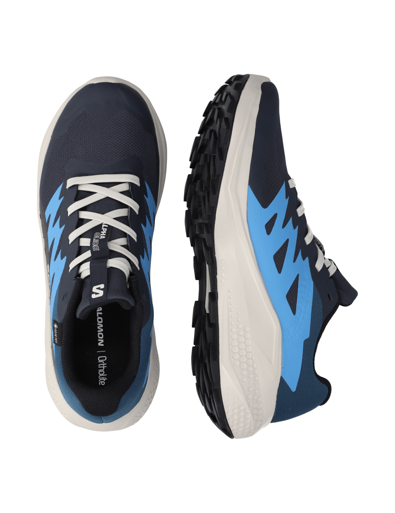 Salomon-ALPHAGLIDE-GTX-schwarz