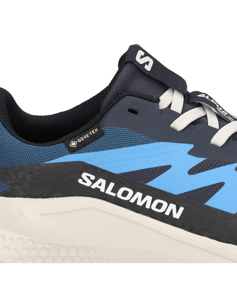 Salomon-ALPHAGLIDE-GTX-schwarz