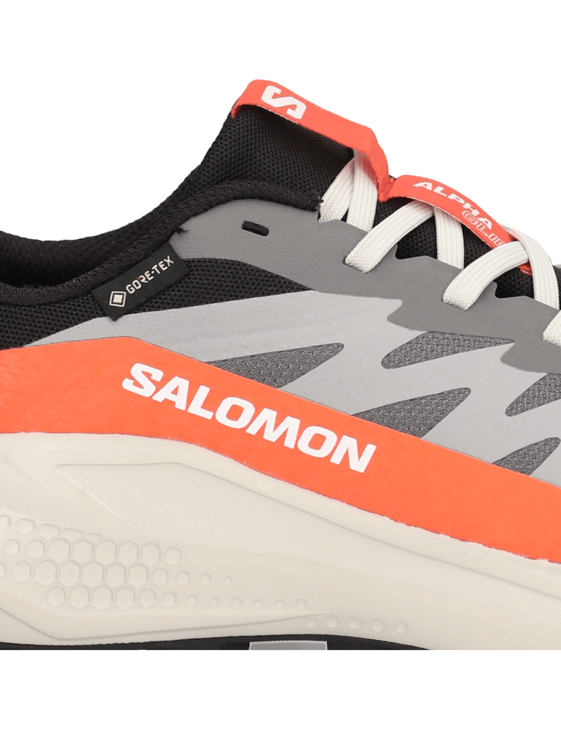 Salomon-ALPHAGLIDE-GTX-schwarz