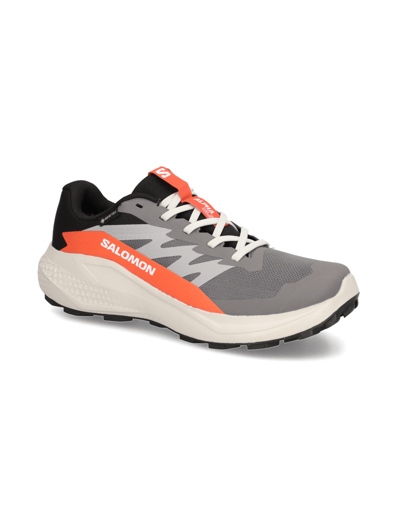 Salomon-ALPHAGLIDE-GTX-schwarz