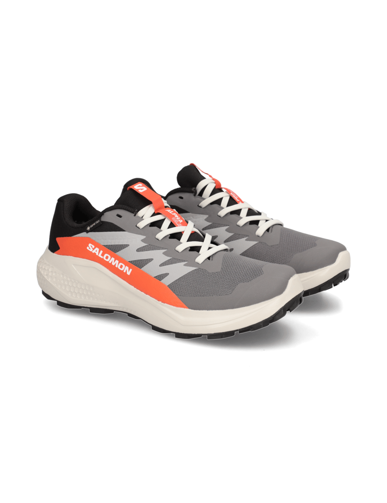 Salomon-ALPHAGLIDE-GTX-schwarz