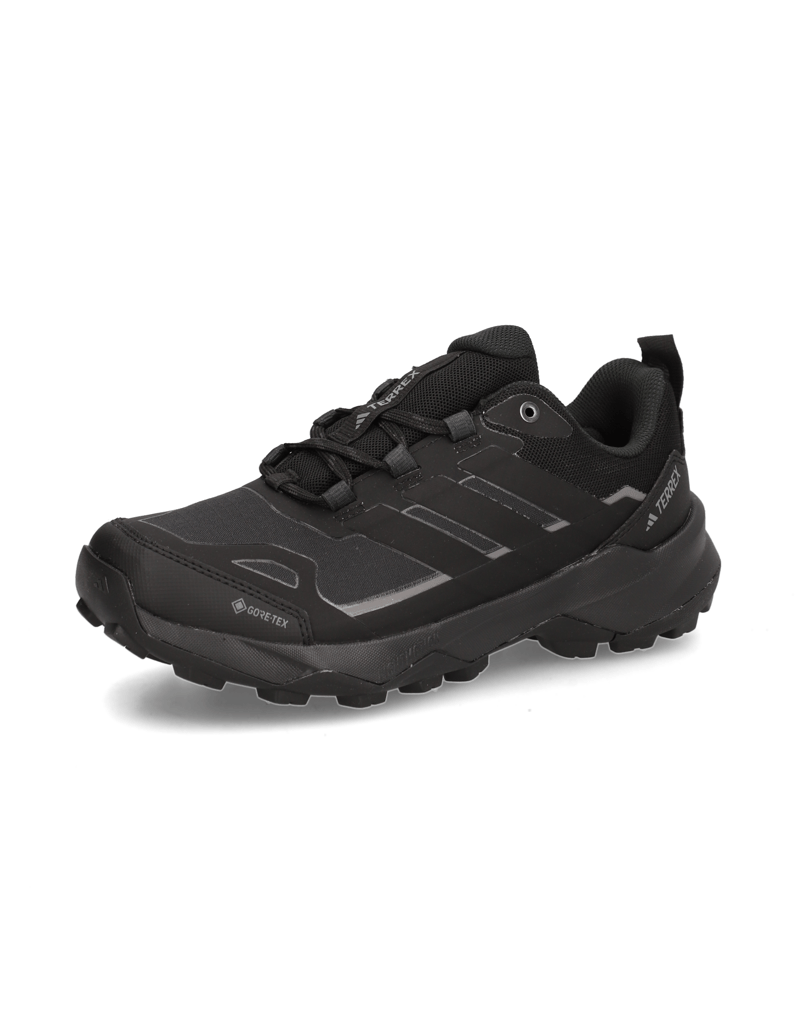 Adidas-TERREX-SKYCHASER-AX5-GTX-schwarz