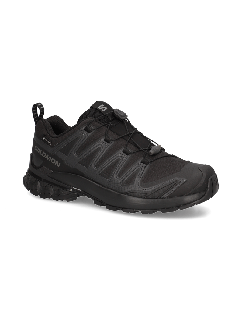 Salomon-XA-PRO-3D-V9-GTX-schwarz