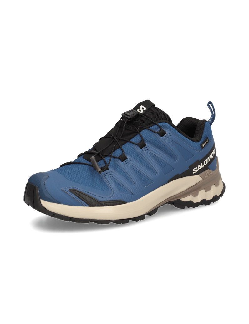 Salomon-XA-PRO-3D-V9-GTX-schwarz