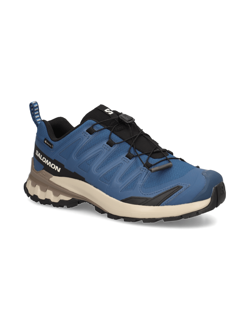 Salomon-XA-PRO-3D-V9-GTX-schwarz
