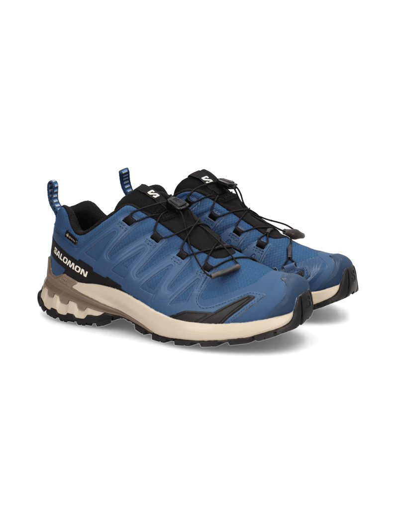Salomon-XA-PRO-3D-V9-GTX-schwarz
