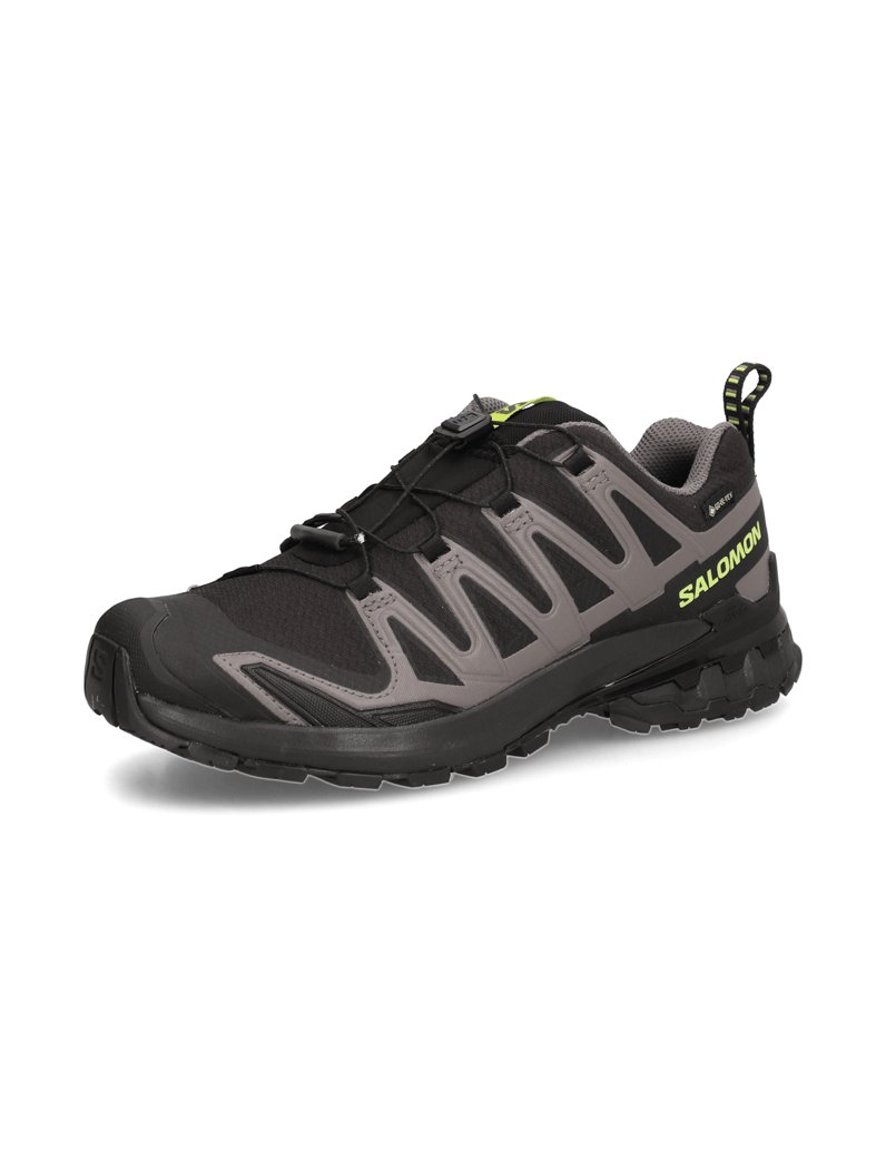 Salomon-XA-PRO-3D-V9-GTX-schwarz