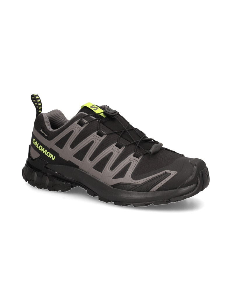 Salomon-XA-PRO-3D-V9-GTX-schwarz