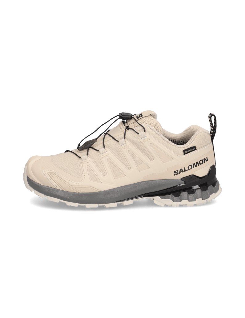 Salomon-XA-PRO-3D-V9-GTX-schwarz