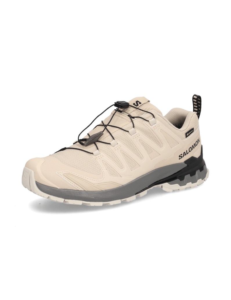 Salomon-XA-PRO-3D-V9-GTX-schwarz