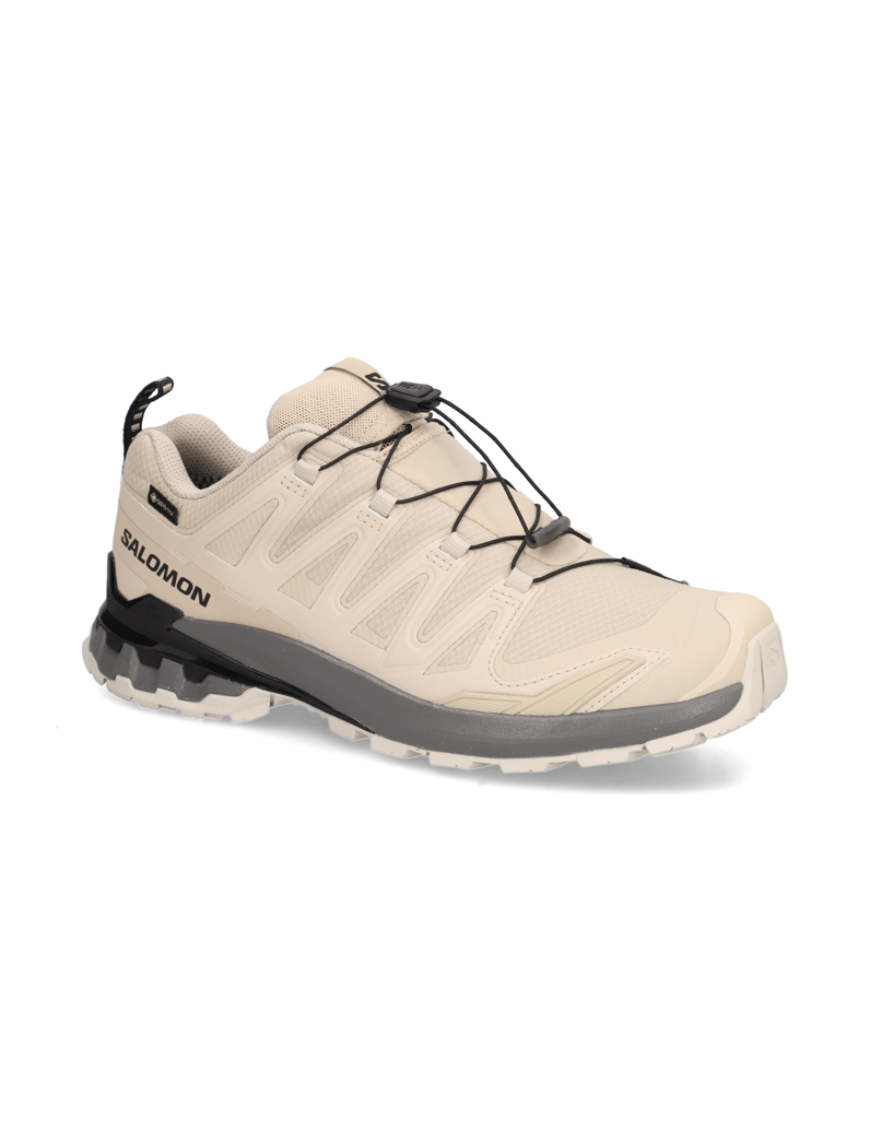 Salomon-XA-PRO-3D-V9-GTX-schwarz