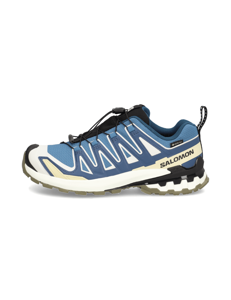 Salomon-XA-PRO-3D-V9-GTX-schwarz
