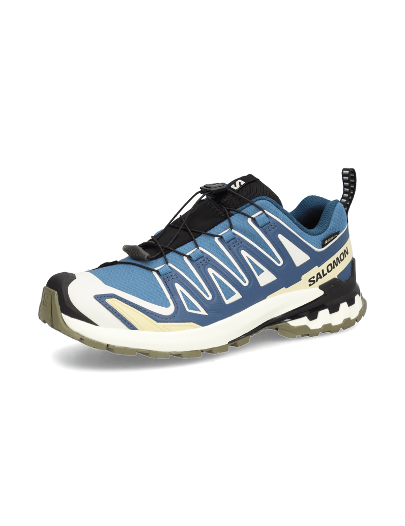 Salomon-XA-PRO-3D-V9-GTX-schwarz