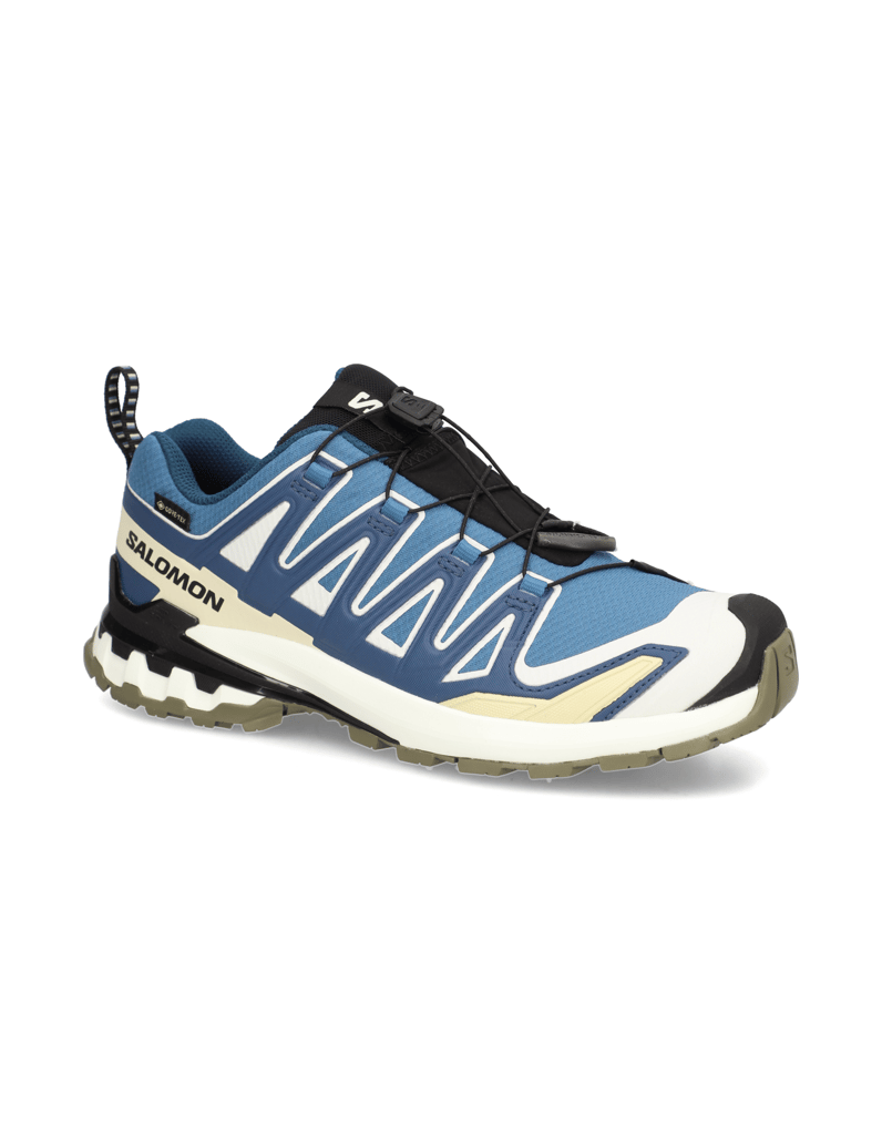 Salomon-XA-PRO-3D-V9-GTX-schwarz