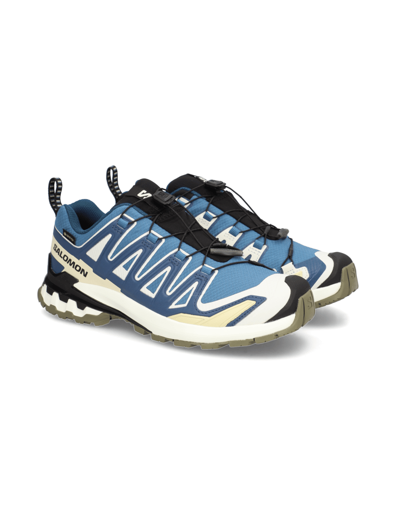Salomon-XA-PRO-3D-V9-GTX-schwarz