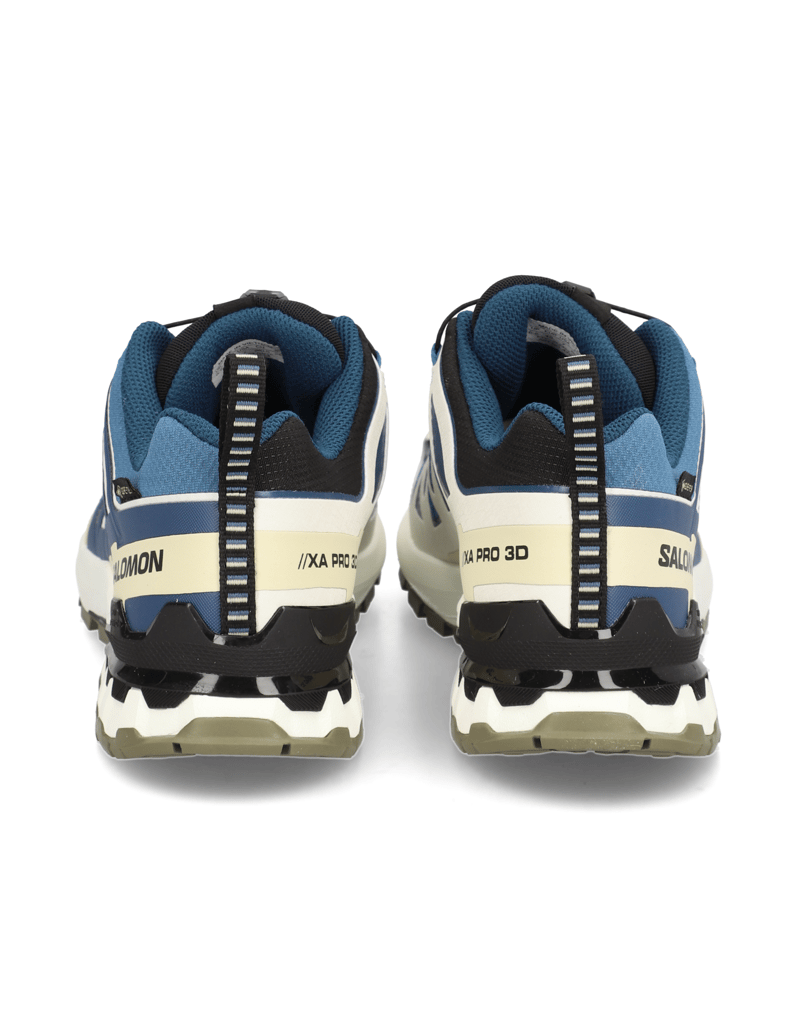 Salomon-XA-PRO-3D-V9-GTX-schwarz