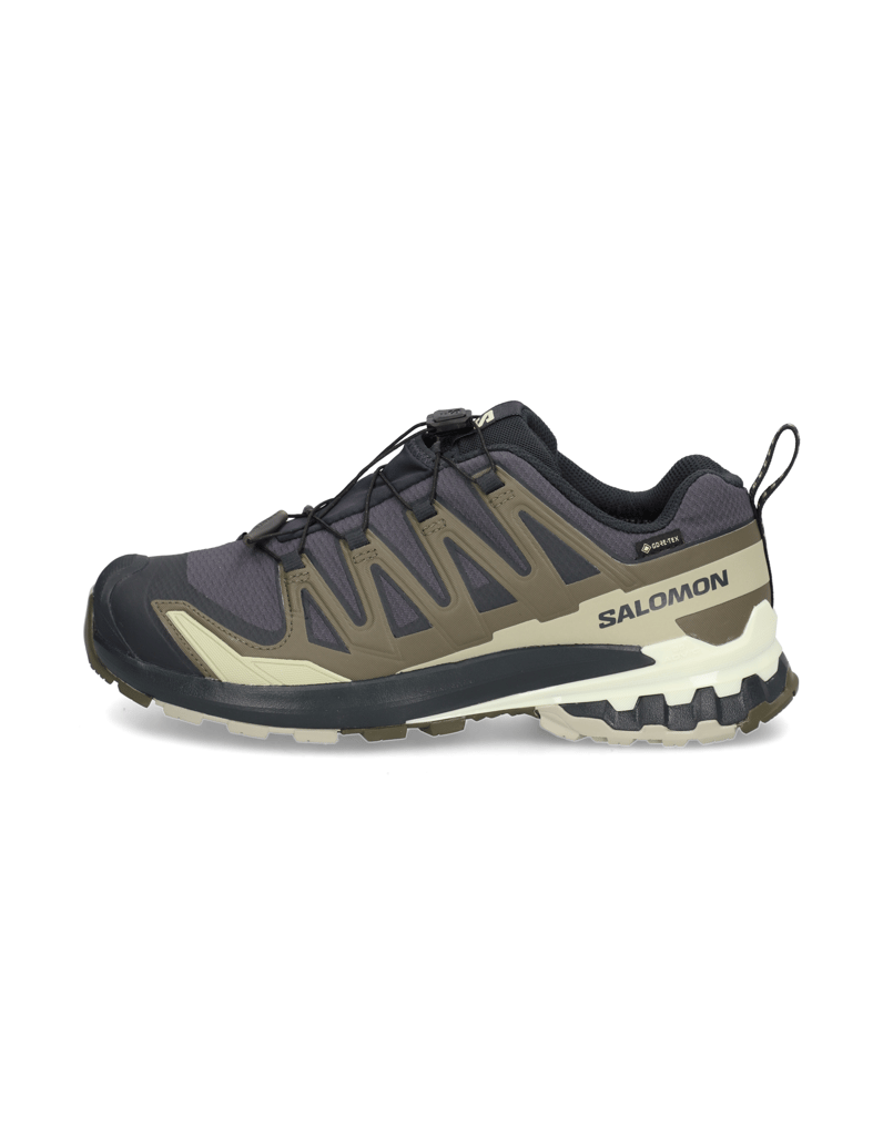 Salomon-XA-PRO-3D-V9-GTX-schwarz