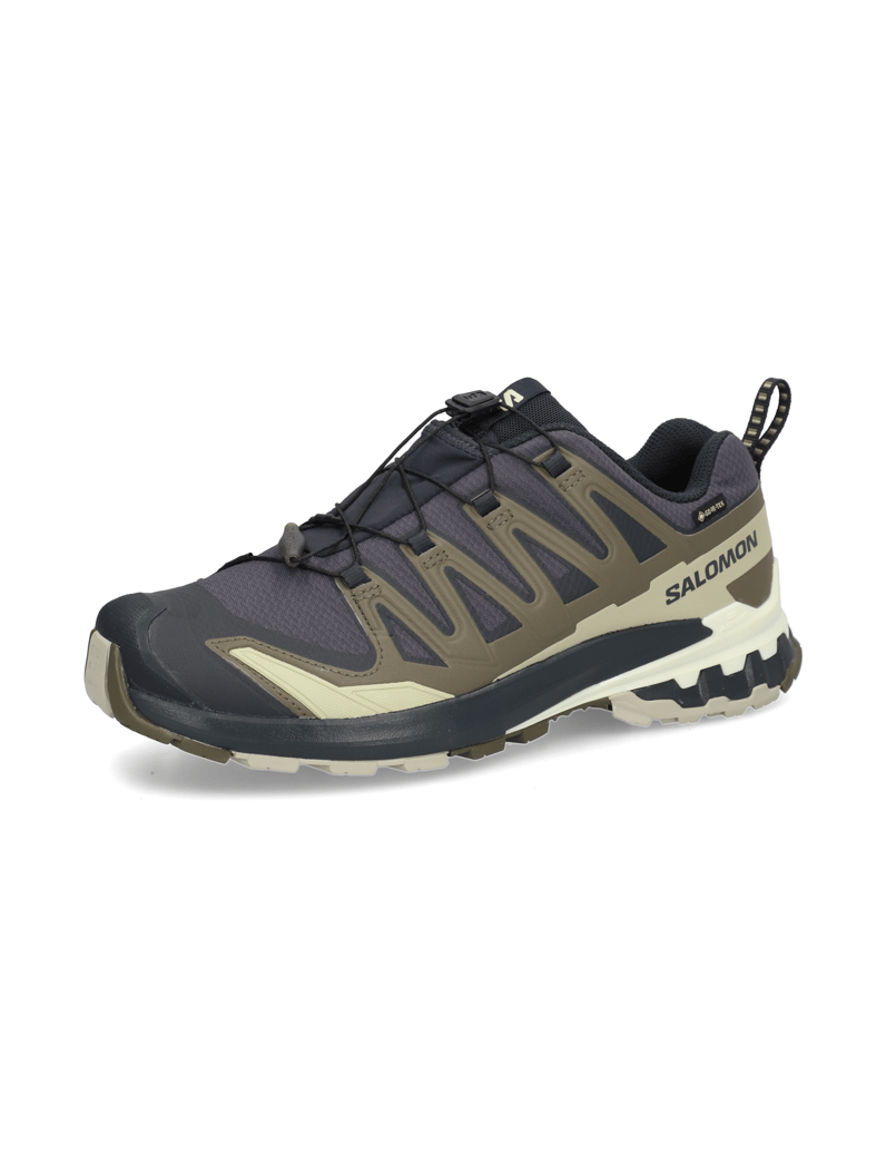 Salomon-XA-PRO-3D-V9-GTX-schwarz