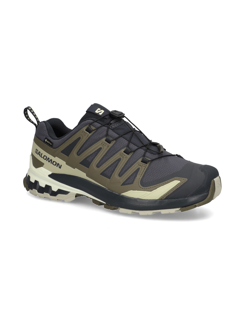 Salomon-XA-PRO-3D-V9-GTX-schwarz