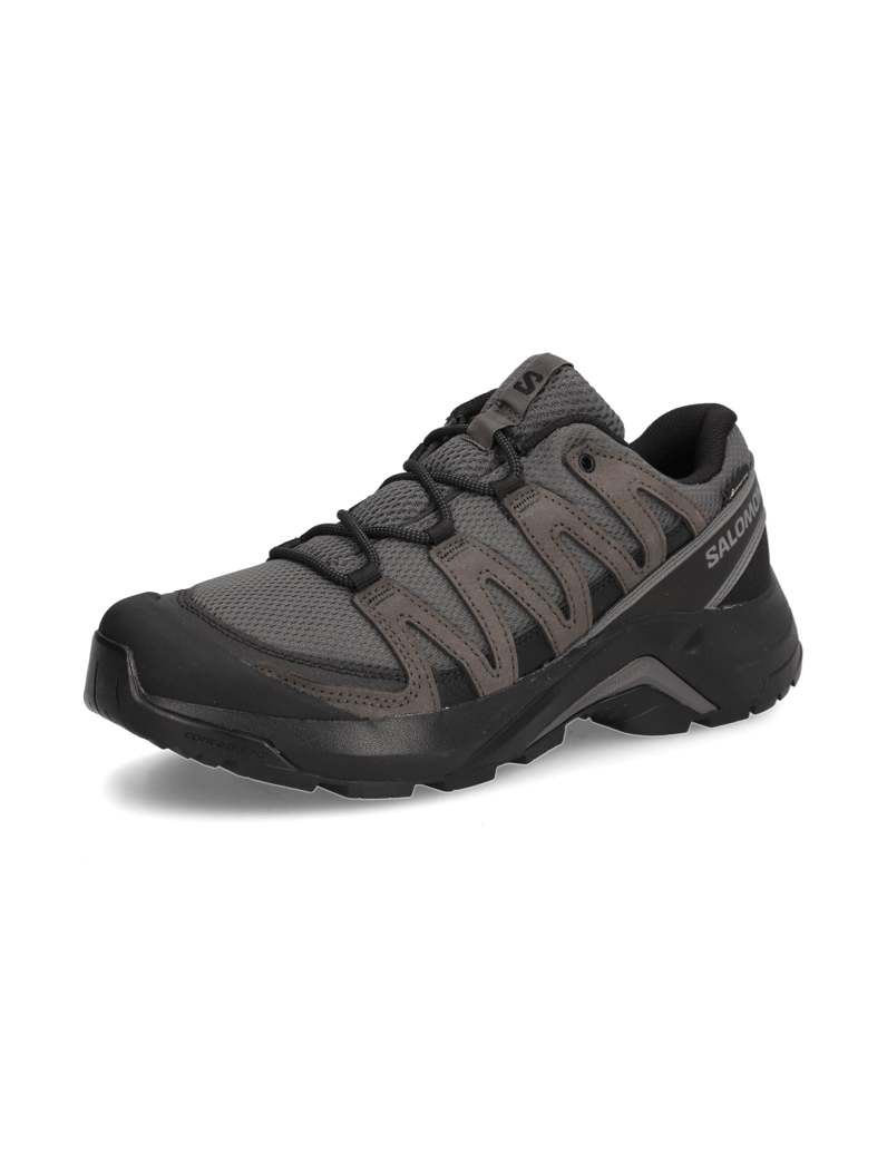 Salomon-X-ADVENTURE-RECON-GTX-schwarz