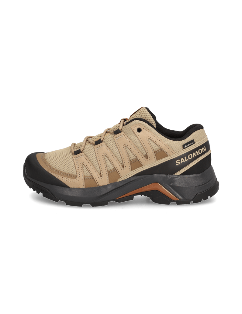 Salomon-X-ADVENTURE-RECON-GTX-schwarz