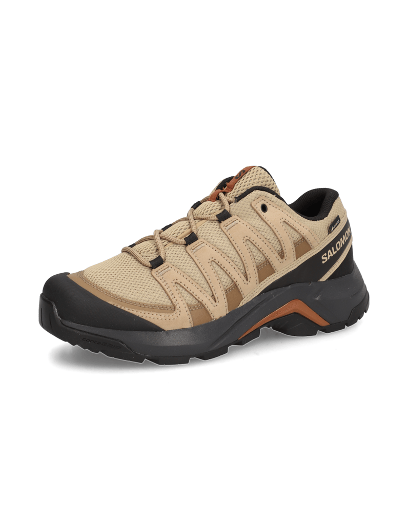 Salomon-X-ADVENTURE-RECON-GTX-schwarz