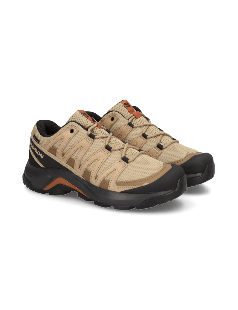 Salomon-X-ADVENTURE-RECON-GTX-schwarz