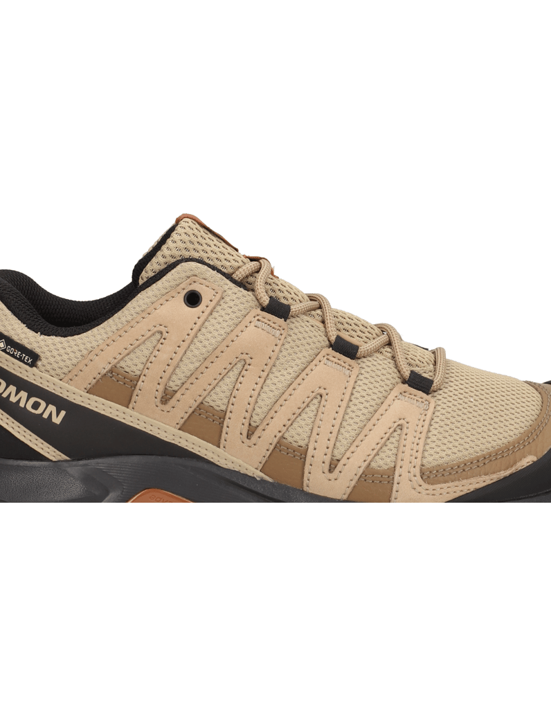 Salomon-X-ADVENTURE-RECON-GTX-schwarz