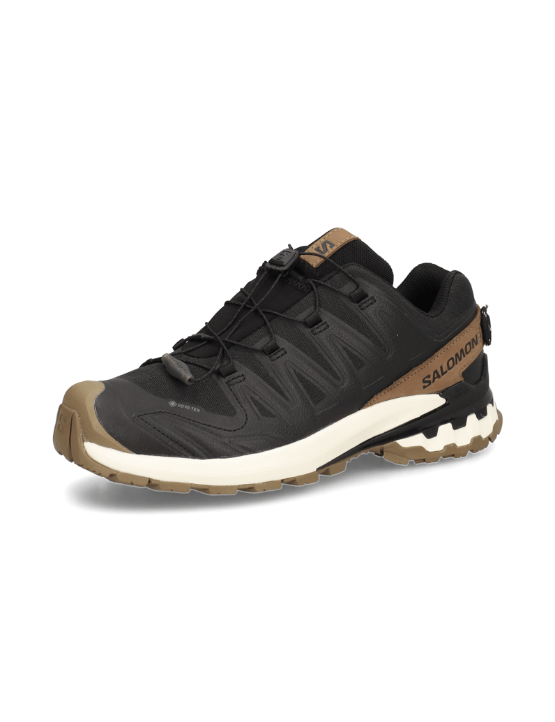 Salomon-XA-PRO-3D-V9-GTX-LIFELONG-M-schwarz