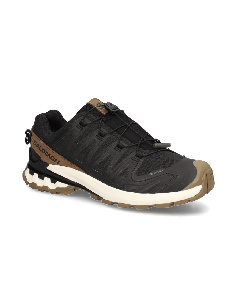 Salomon-XA-PRO-3D-V9-GTX-LIFELONG-M-schwarz