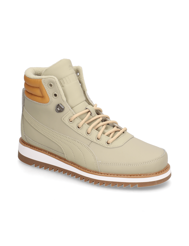 Puma-Desierto-v2