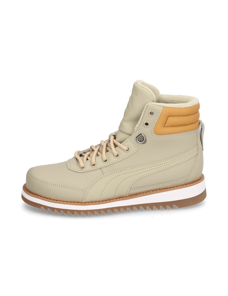Puma-Desierto-v2