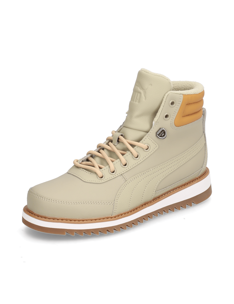 Puma-Desierto-v2