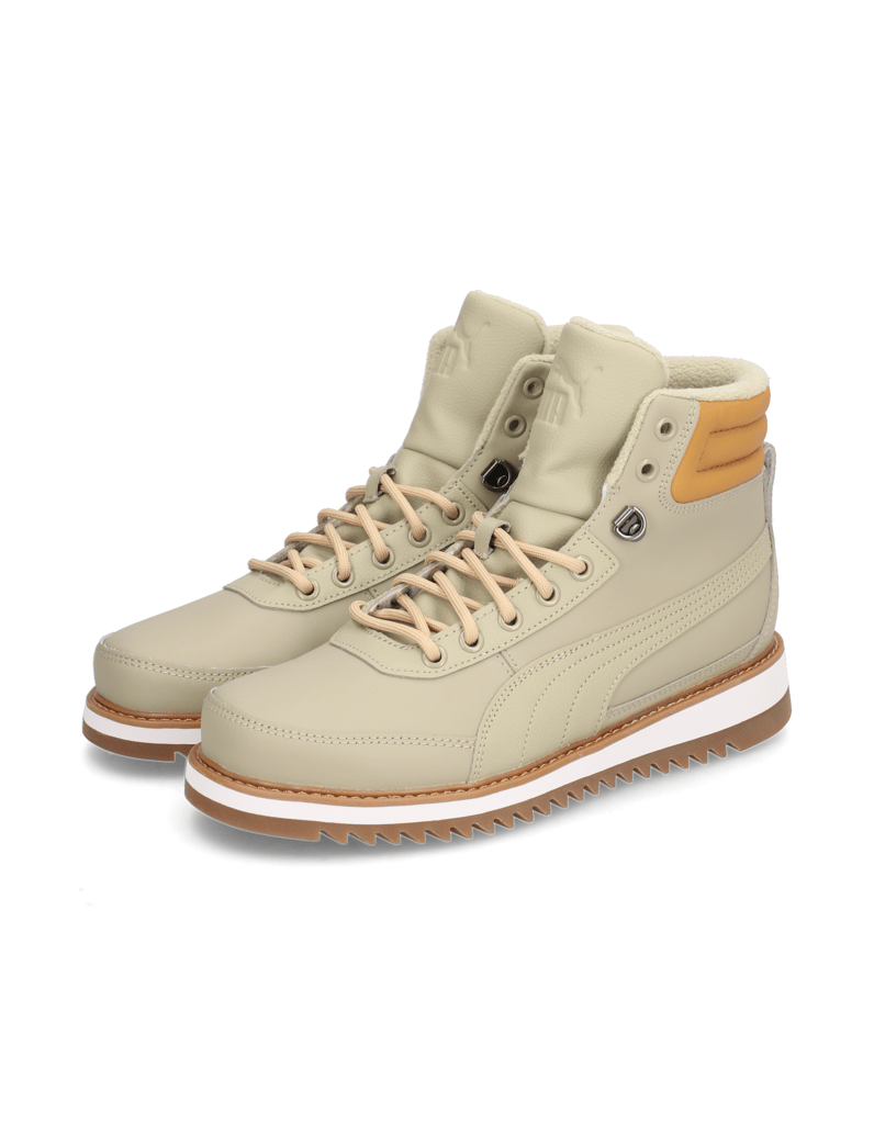 Puma-Desierto-v2