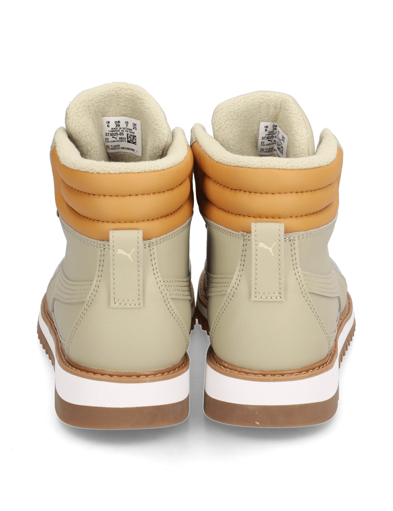 Puma-Desierto-v2