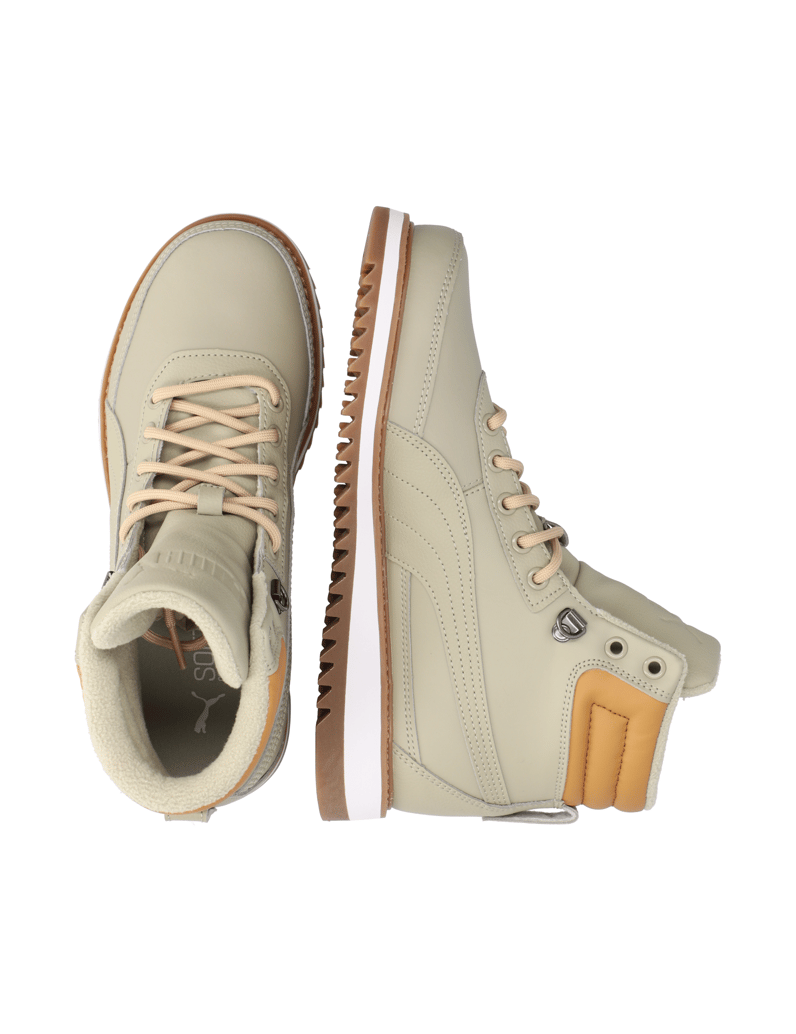 Puma-Desierto-v2