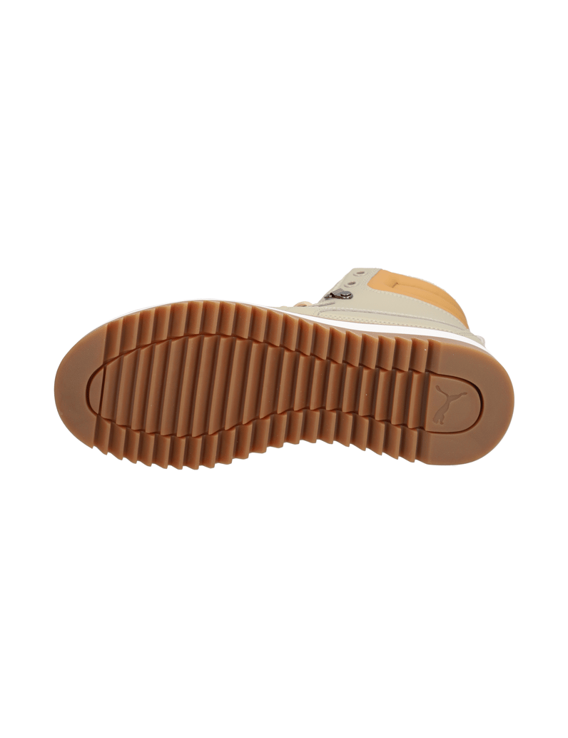 Puma-Desierto-v2