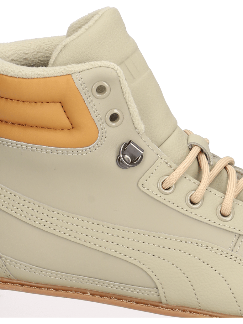 Puma-Desierto-v2