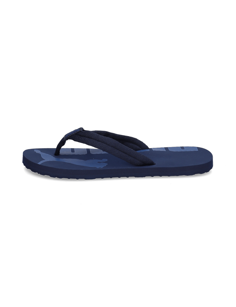 Puma-EPIC-FLIP-V