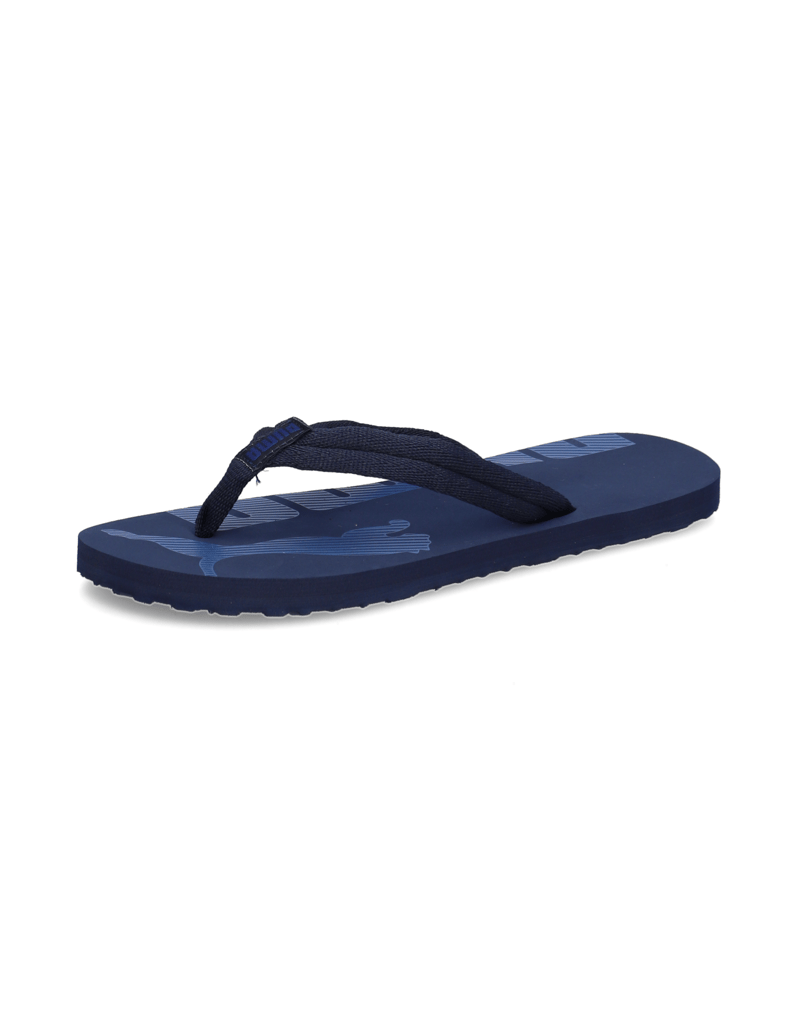 Puma-EPIC-FLIP-V