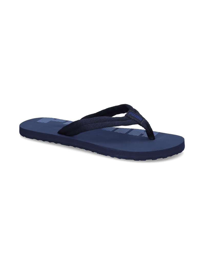 Puma-EPIC-FLIP-V