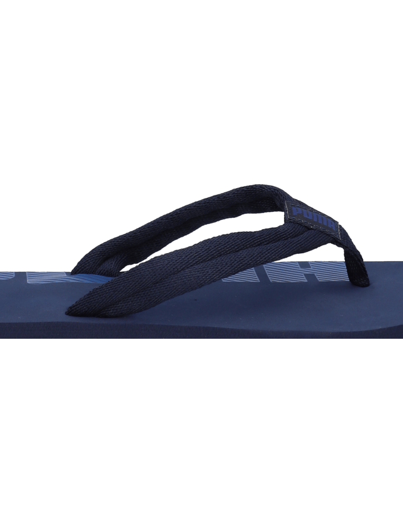 Puma-EPIC-FLIP-V