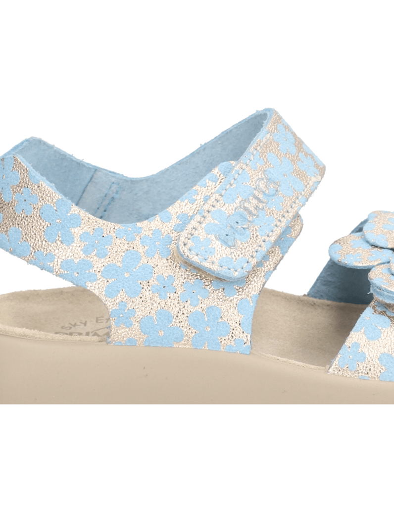 PRIMIGI-PALMER-blau