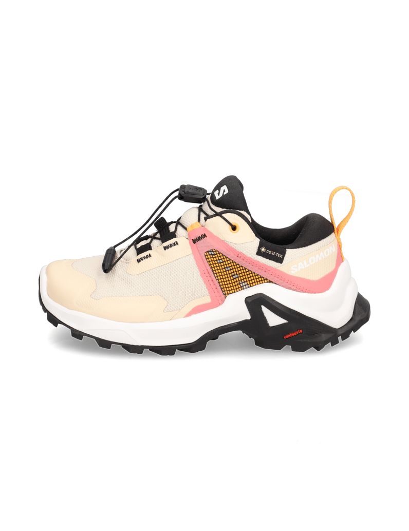 Salomon-X-RAISE-GORE-TEX