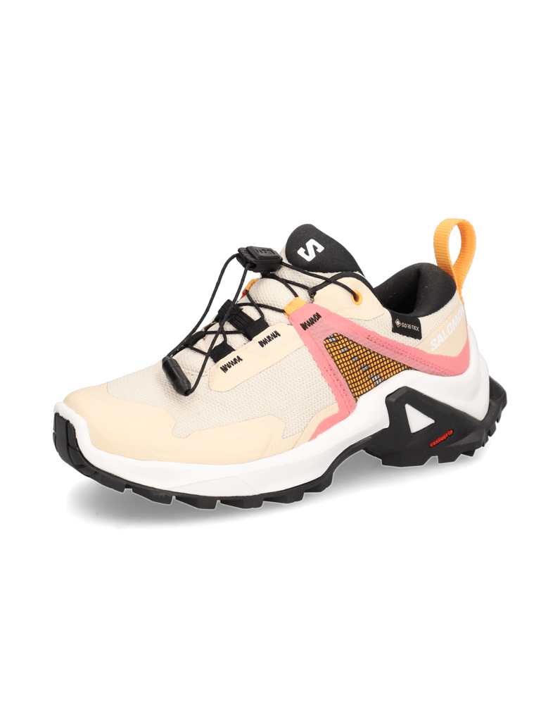 Salomon-X-RAISE-GORE-TEX