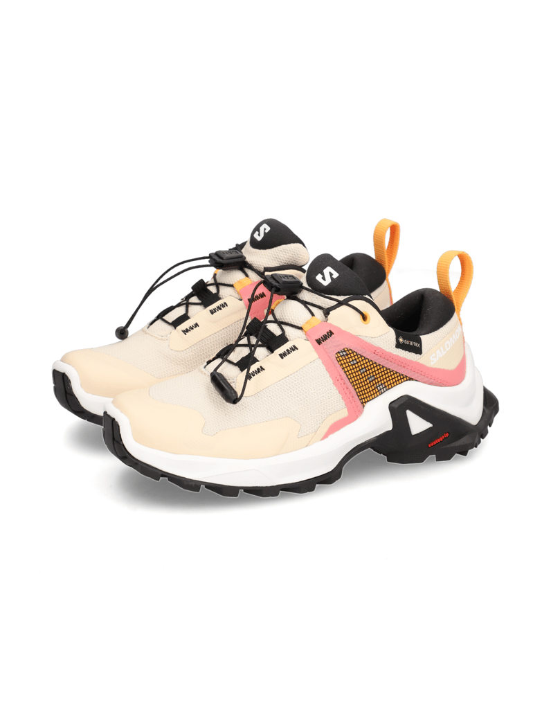 Salomon-X-RAISE-GORE-TEX