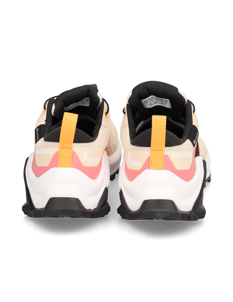Salomon-X-RAISE-GORE-TEX