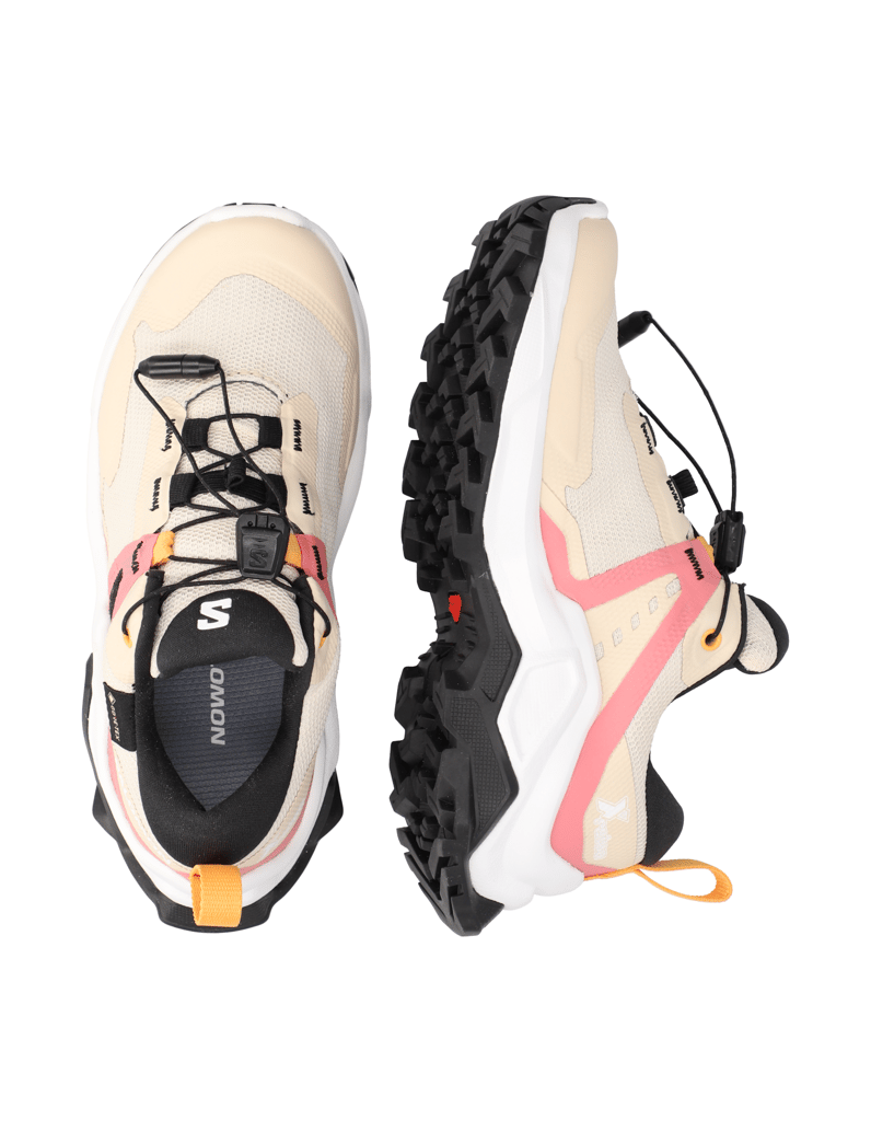 Salomon-X-RAISE-GORE-TEX